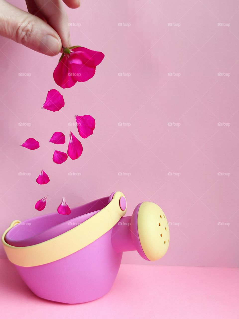 All shades of pink.Against the background of a baby pink color,there is a pink watering can with a yellow handle and a yellow watering can tip.Above the watering can, the hand holds a dark pink flower,the petals of which fall into the watering can