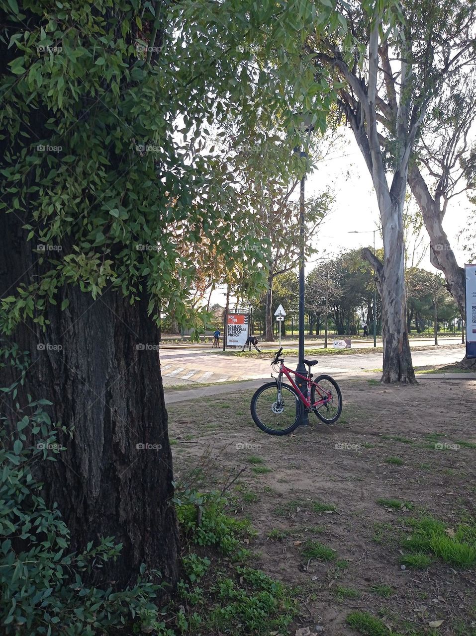 park your bike / estacione su bici