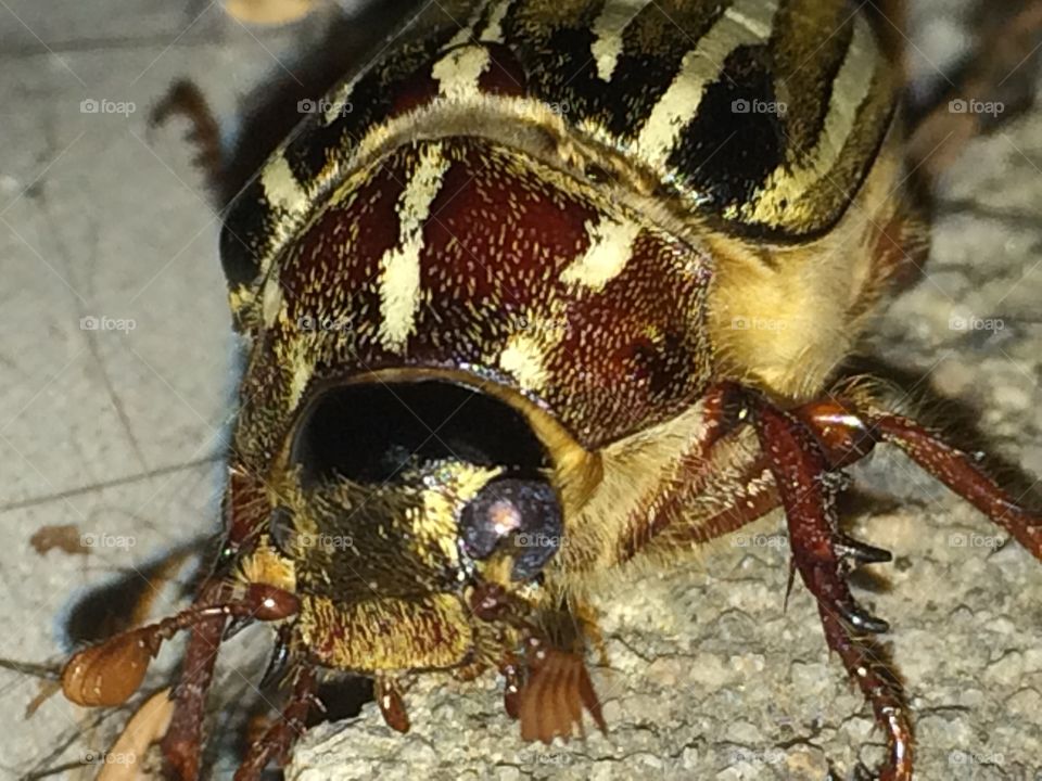 Up close and personal