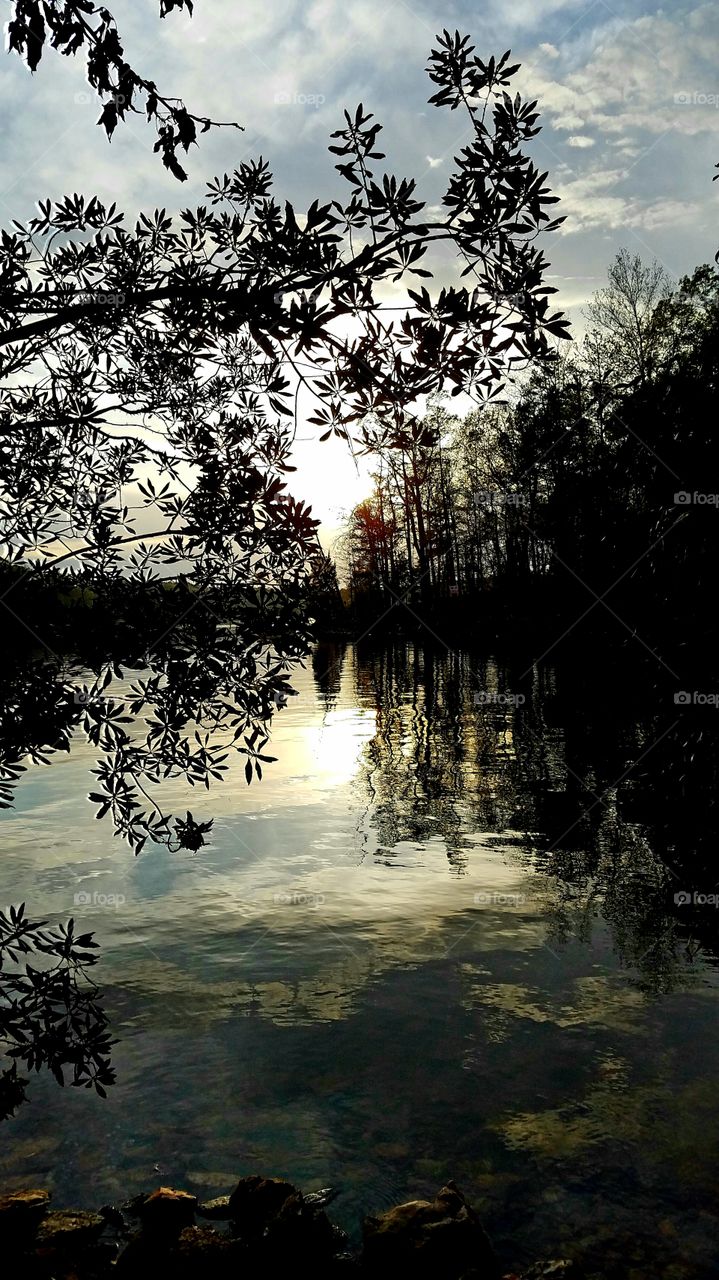 lake at sunset behind trees.