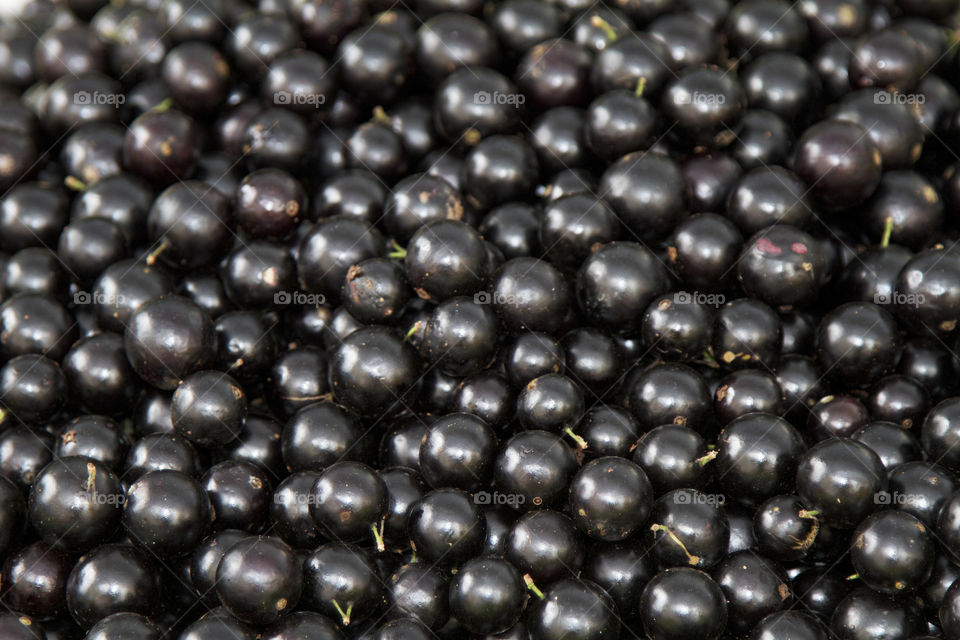 jabuticaba