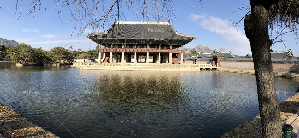 Palace lake