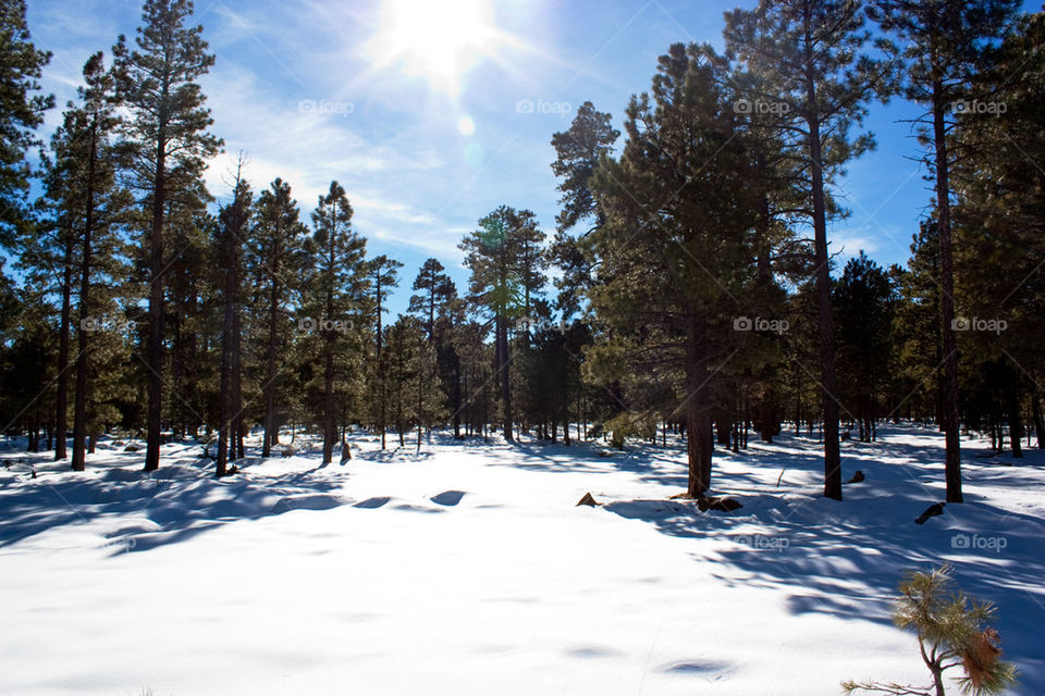 Snow in Arizona