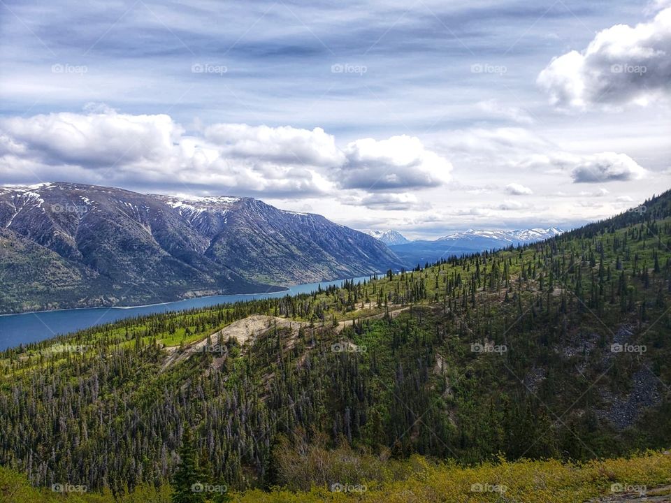 Views overlooking lakes and forests
