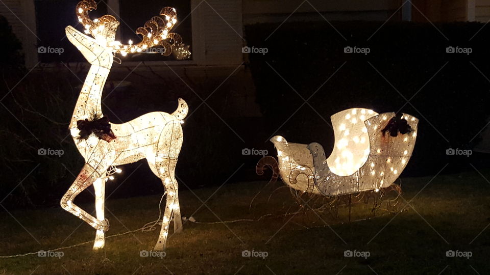 light reindeer