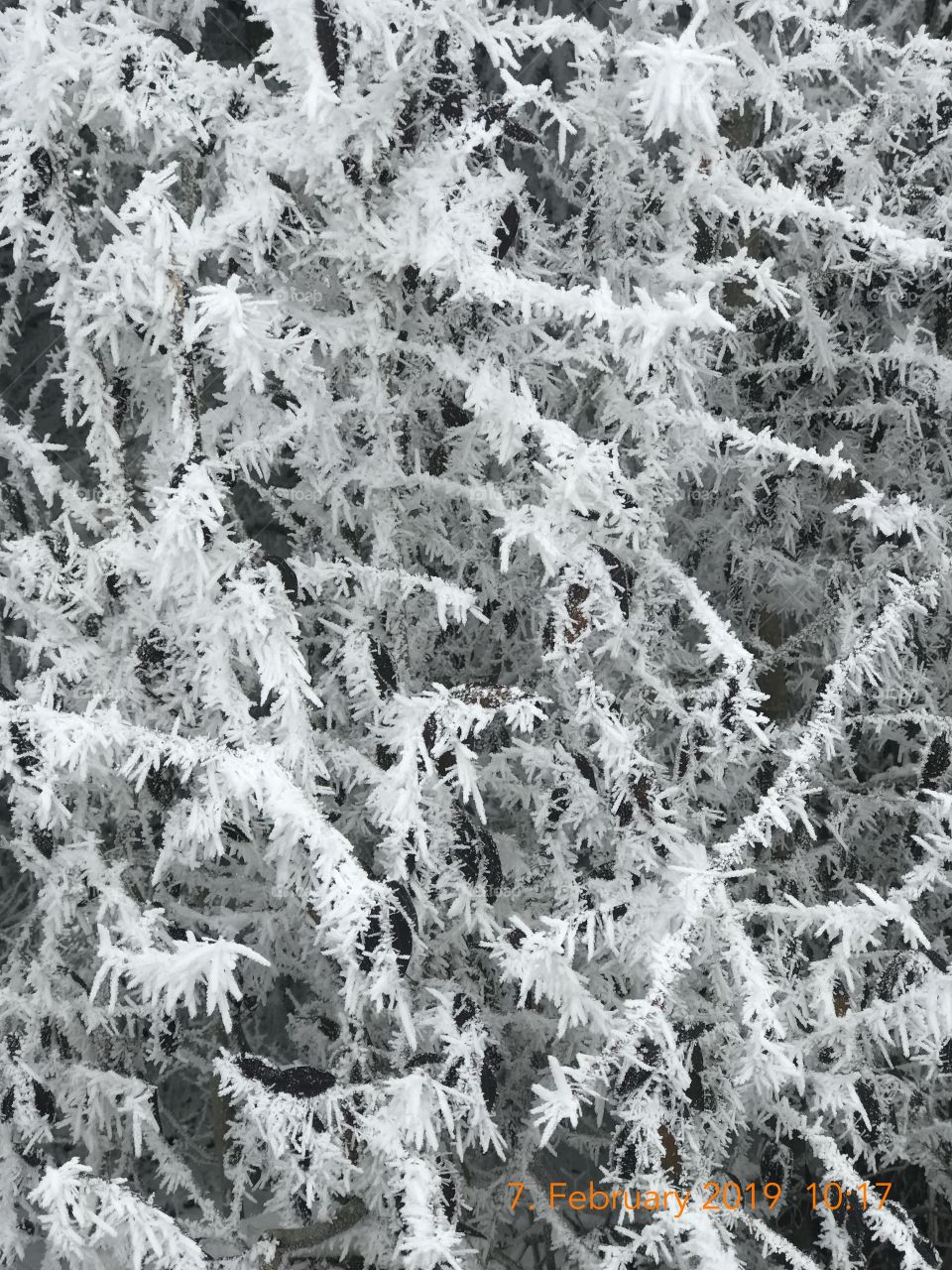 Frozen sorroundings during winter time….