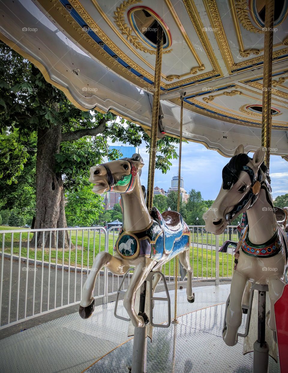 Carousel Horse on the Common