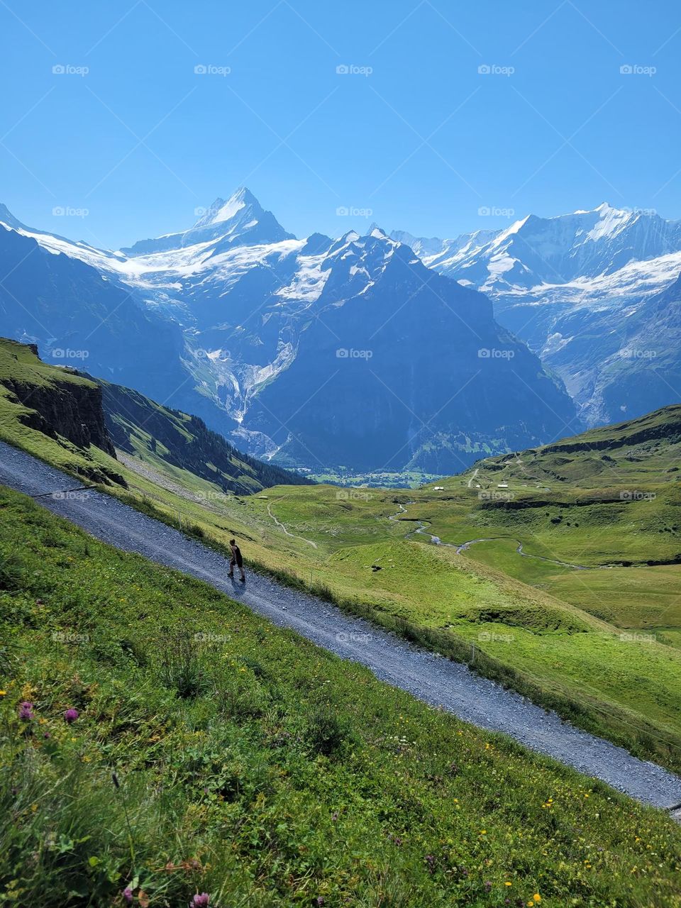 High in the mountains