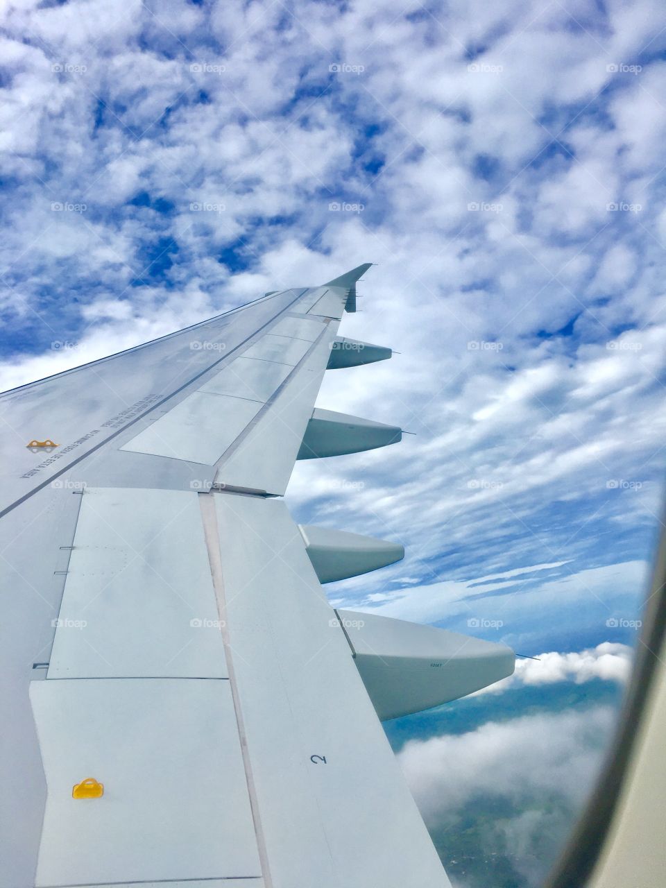 Flying  over caribbean sea