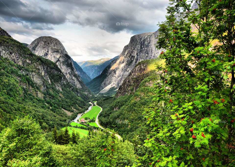 Scenic view of mountain and forest