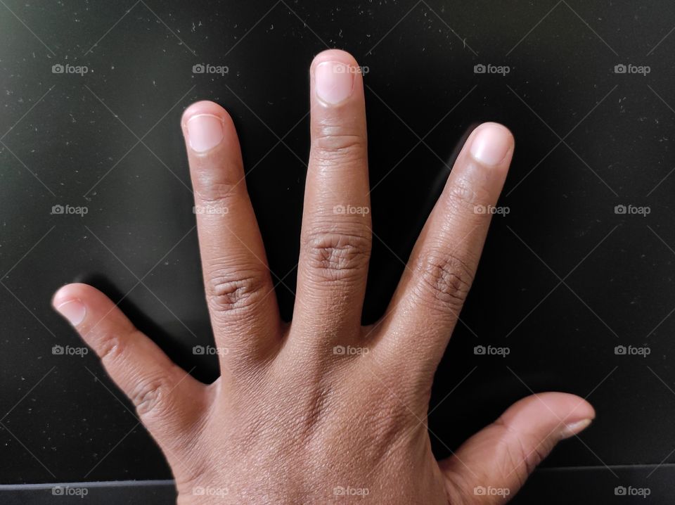 Five fingers of a left hand of a woman