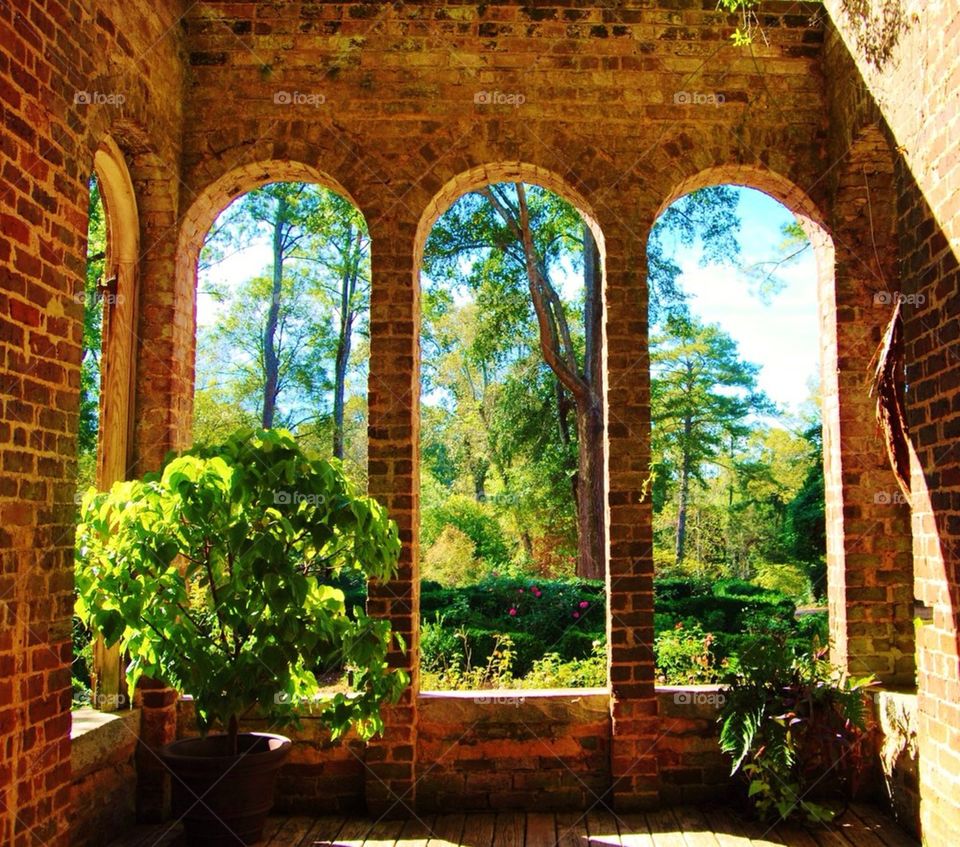 Arched windows in old building