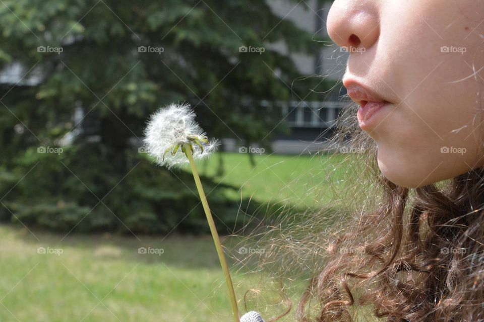 blowing a dandelion