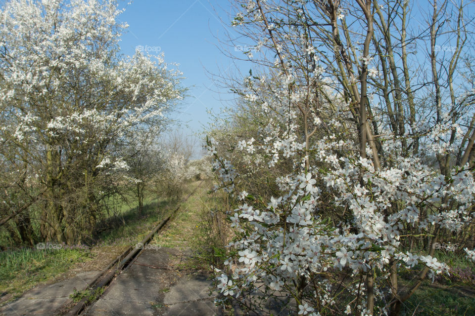 Racot, Leszno, Poland