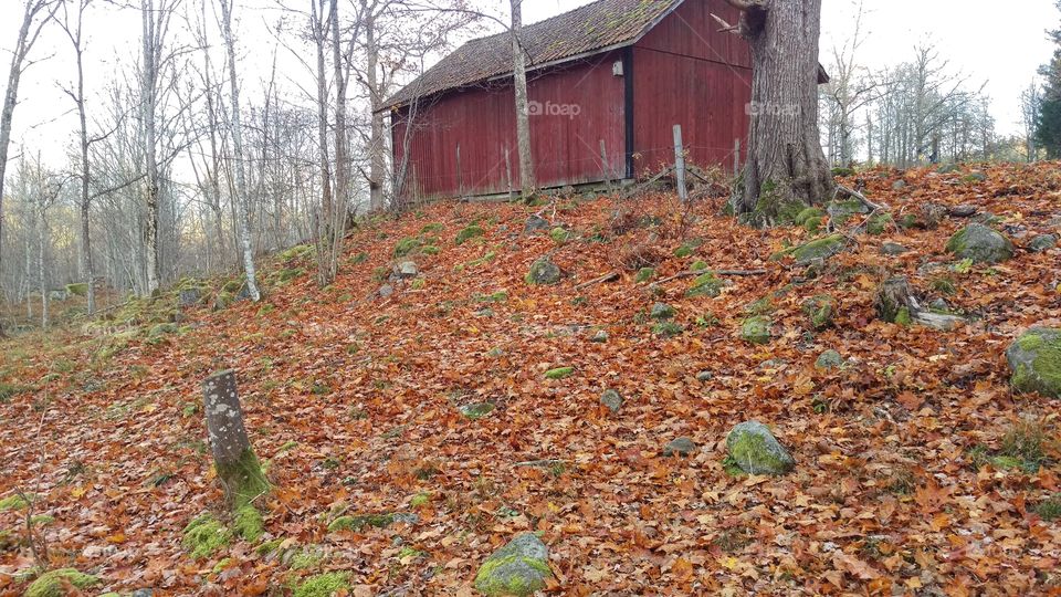 Falerum, Sweden 