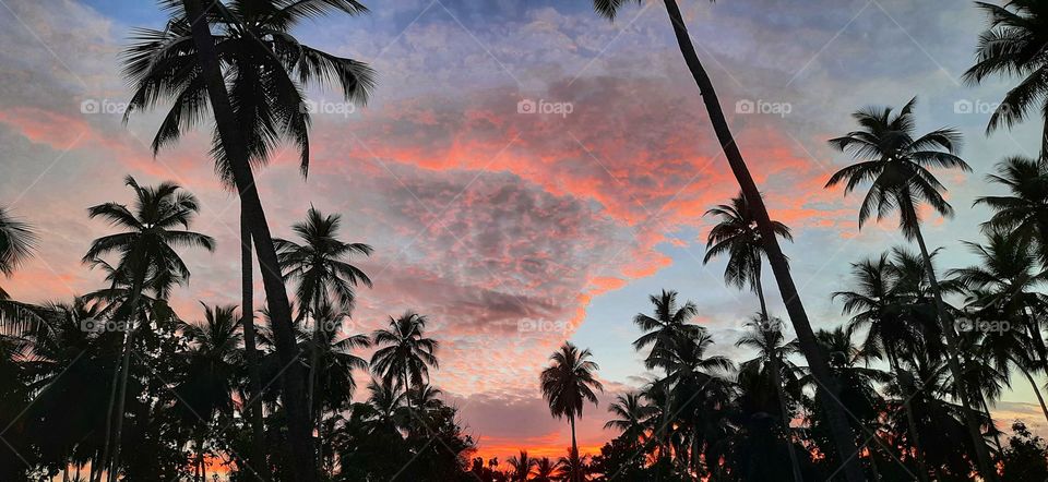 Beautiful evening sky with sunset
