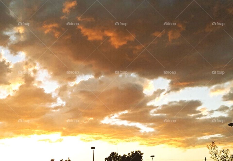 Whipped  
cream and butterscotch clouds form beautiful shapes