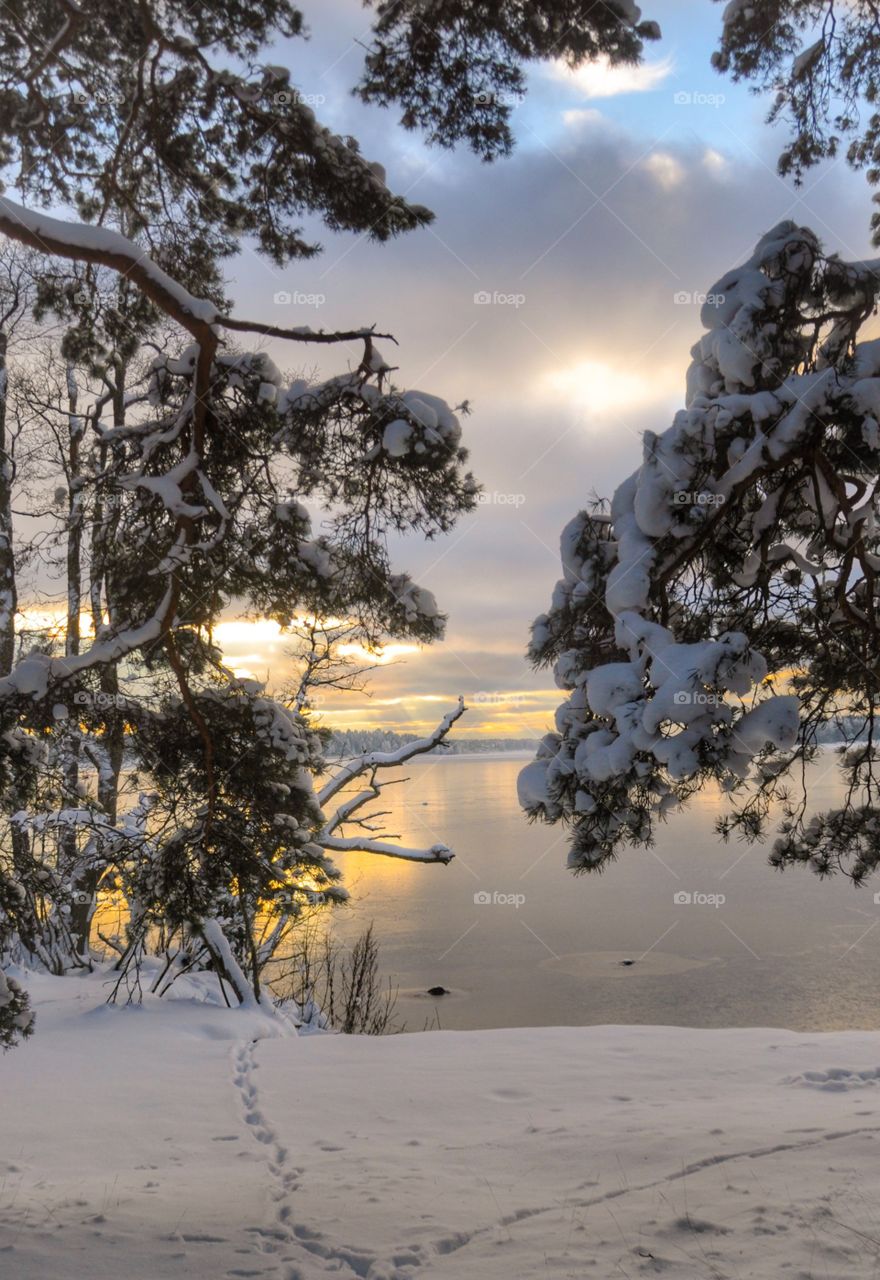 Frozen lake in winter