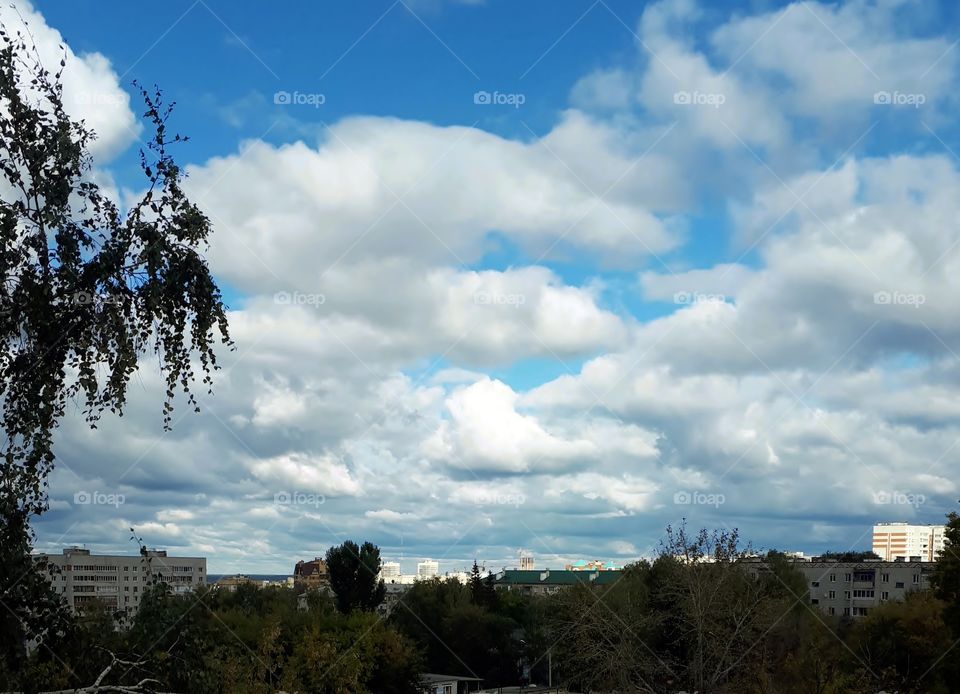 View from the window