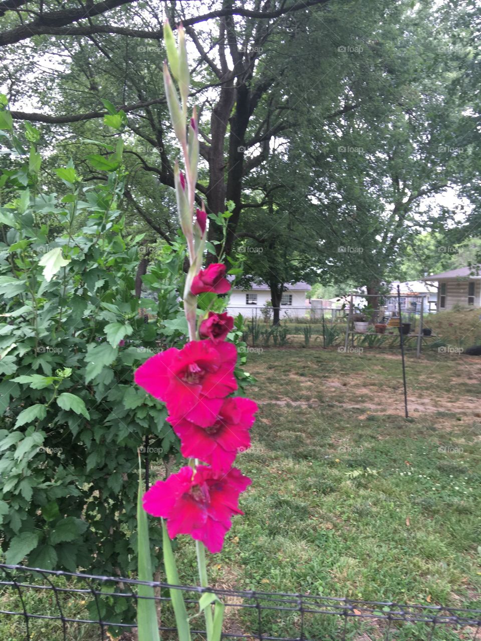 Good Sunday morning Foap! Make today count breathe in the goodness of the outdoors