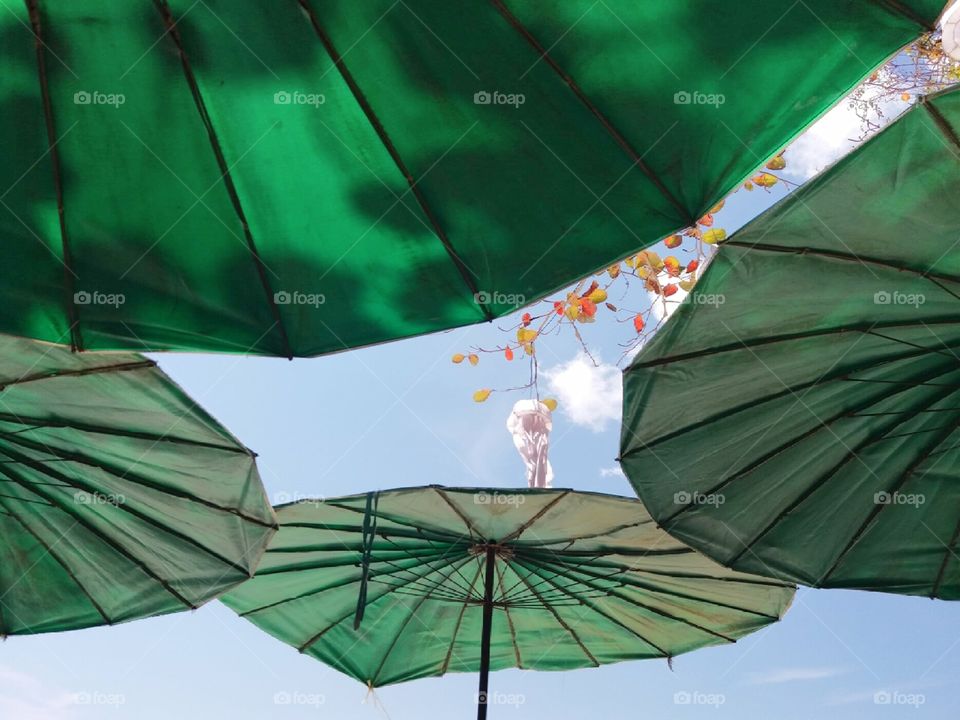 green humbrellas in a beautiful beach day