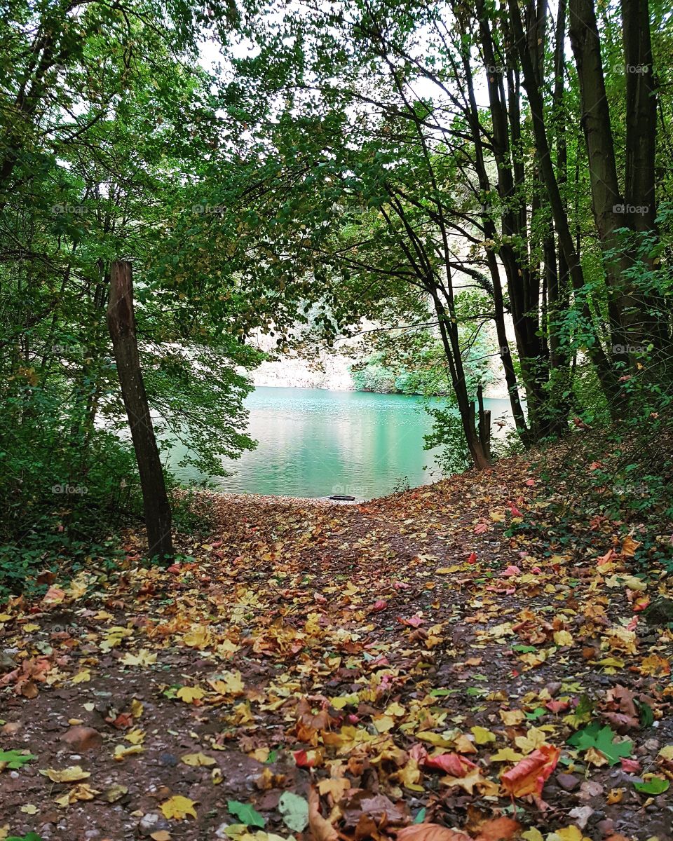 Dornheckensee
