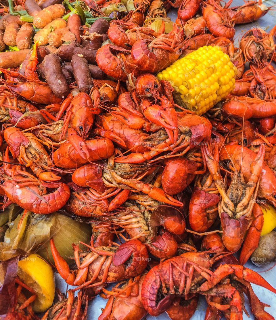 Crawfish Boil Cajun Celebration 