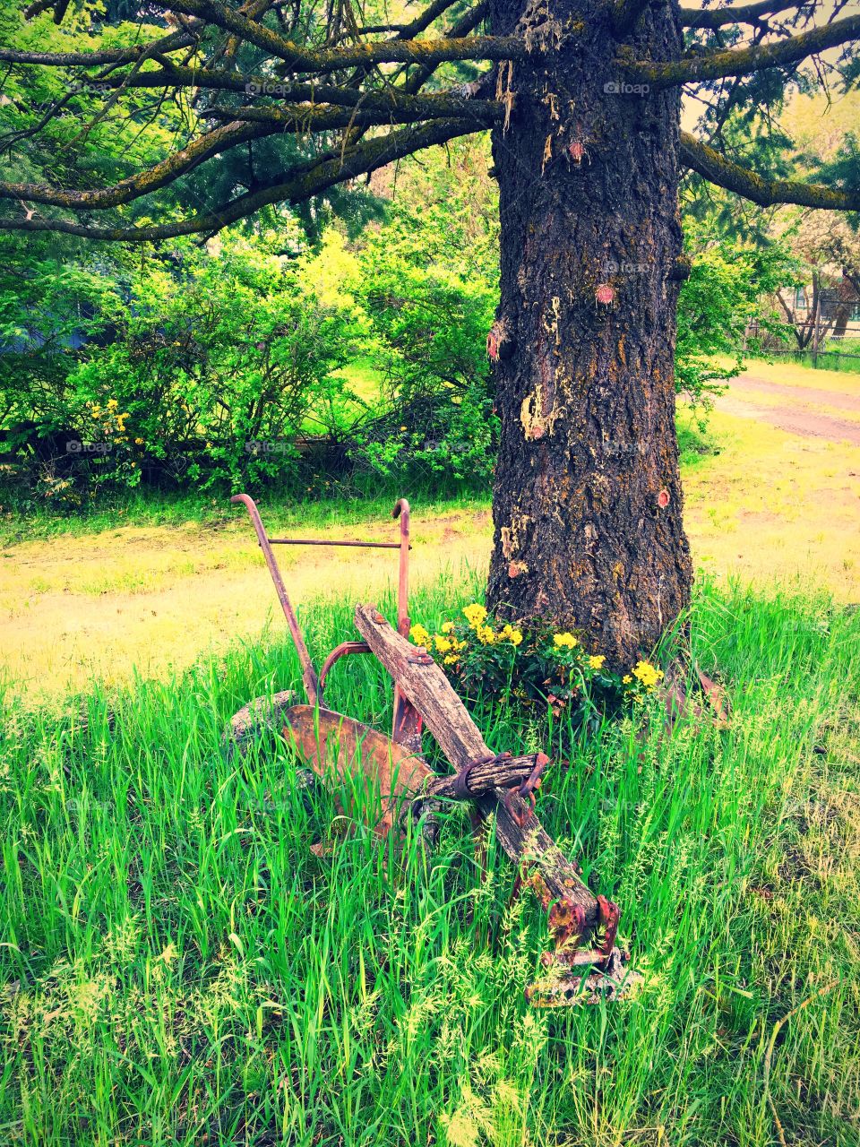 Vintage Antique Garden Plow