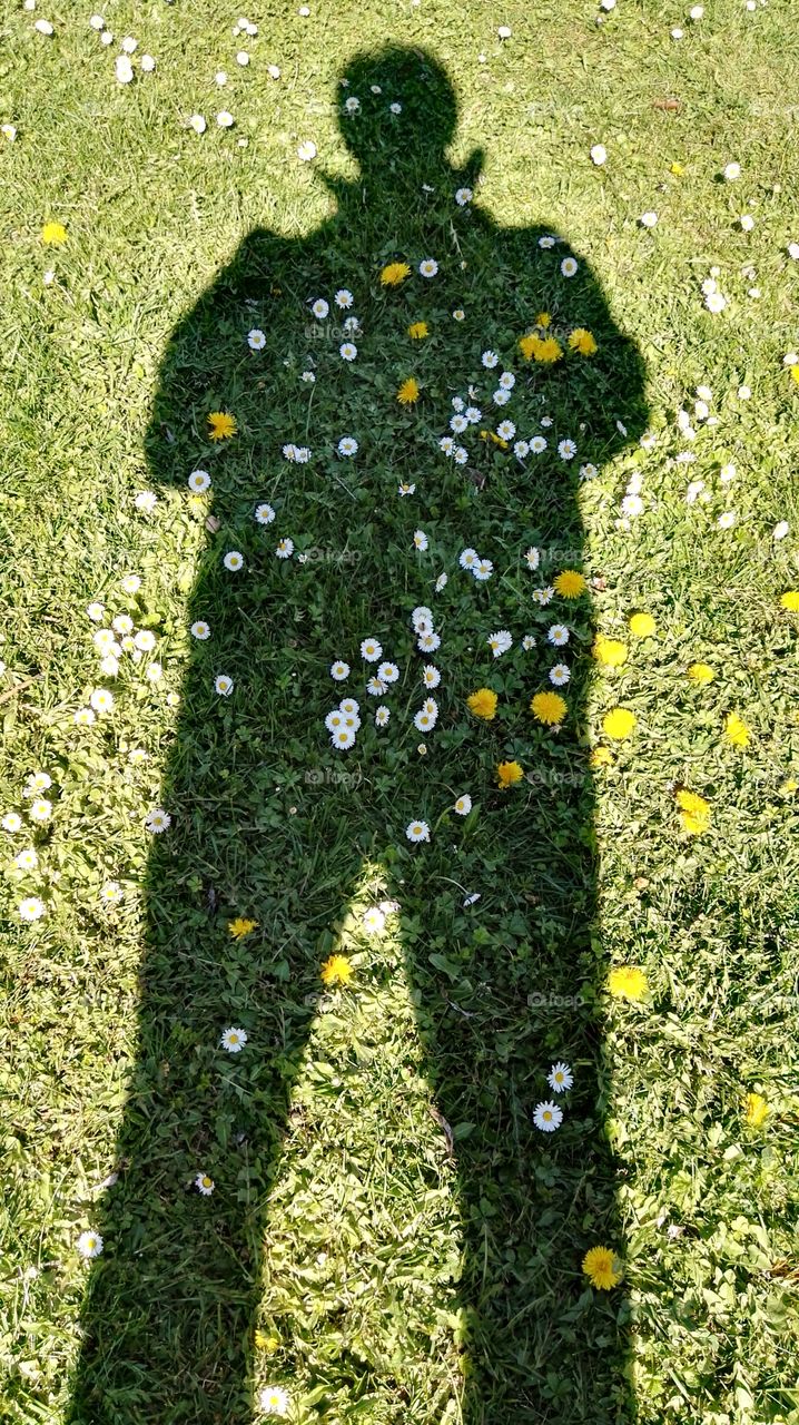 the shadow of a person full of flowers and grass