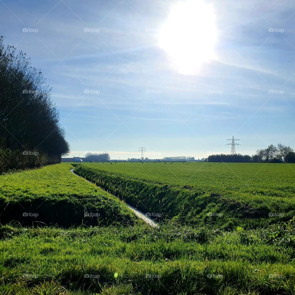View of agriculture and the motorway.