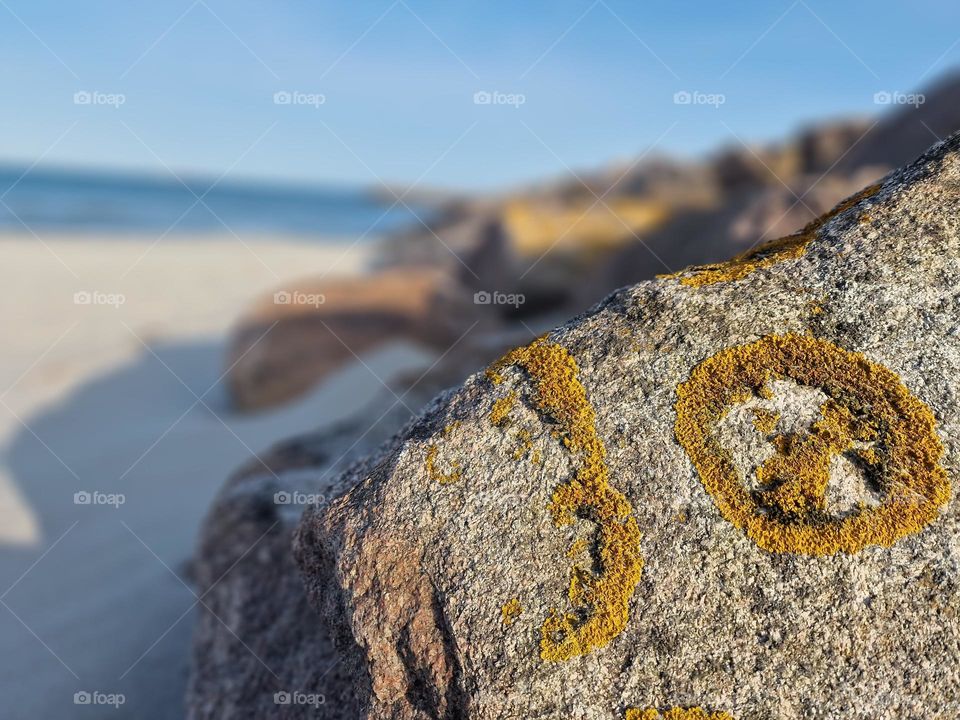 Stones on the beach