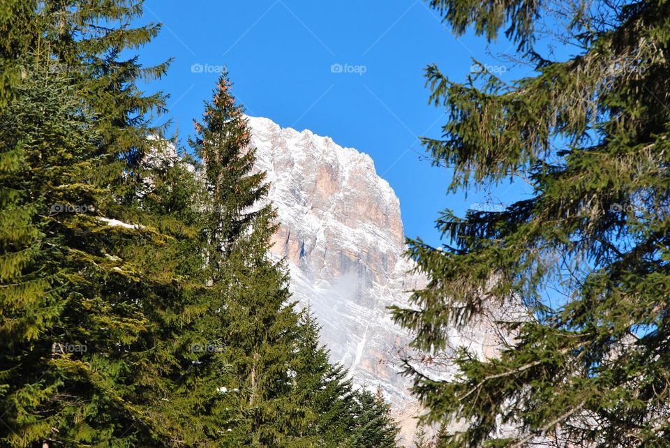 great lord the mountain