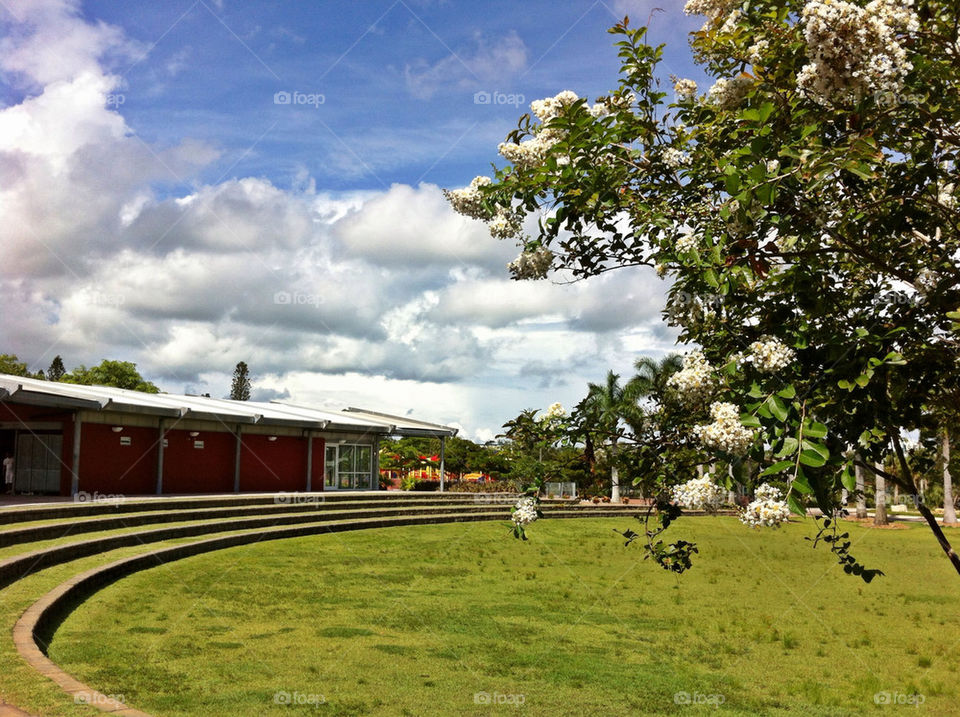 flowers field clouds trees by vegatron