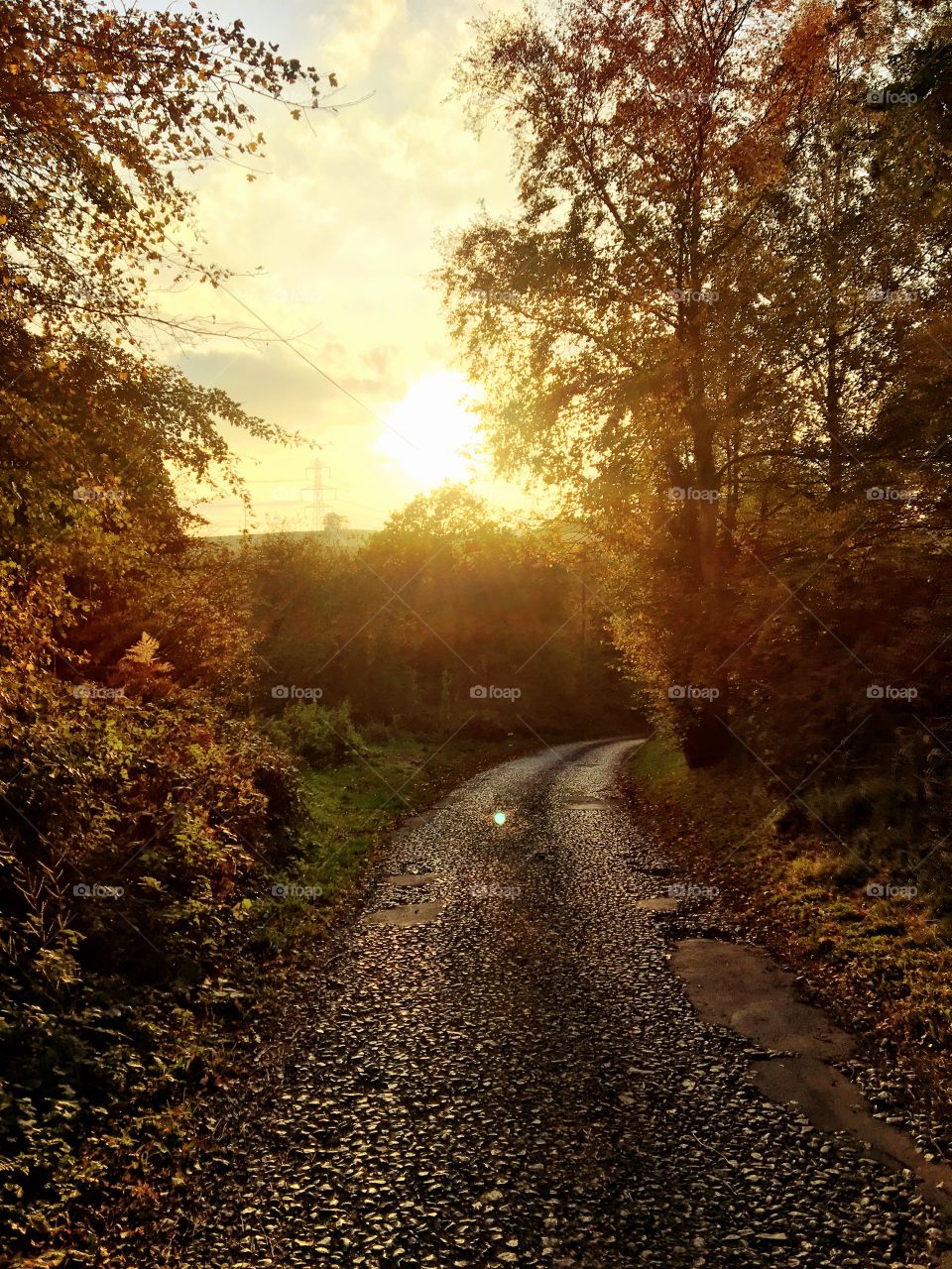 Autumn stroll down countryside lane