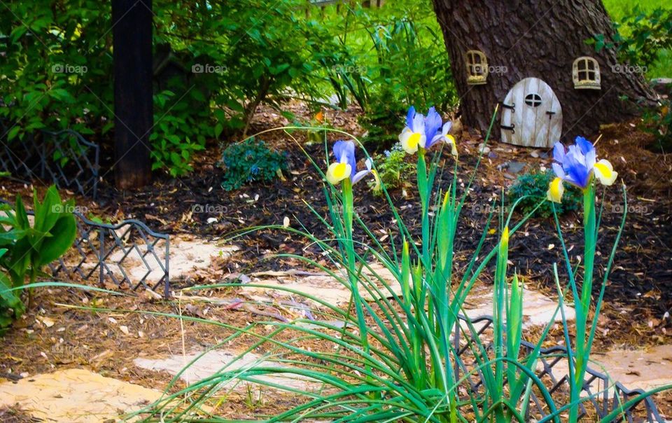 Fairy House