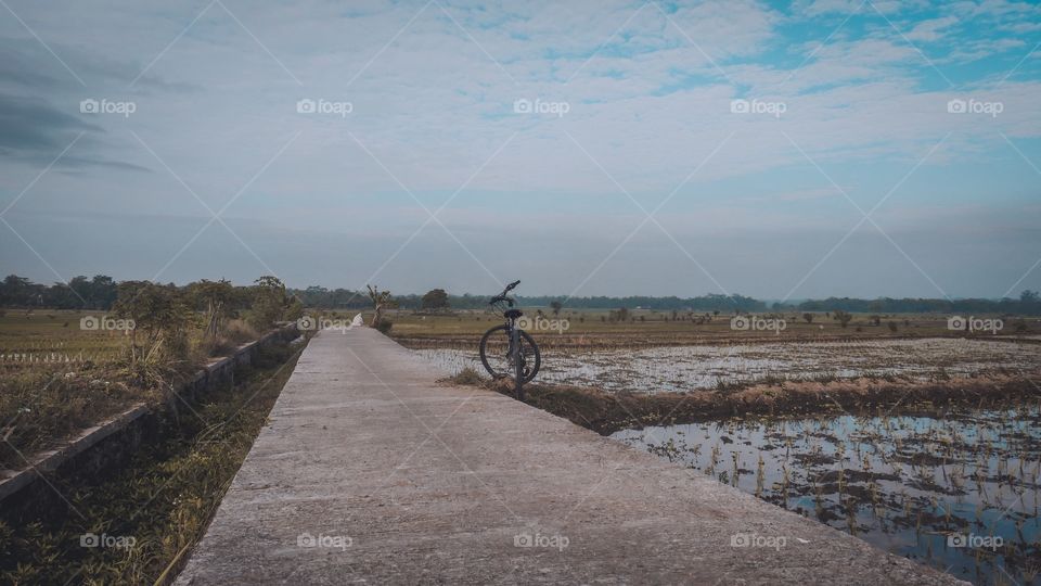 Bike in the middle rice fields