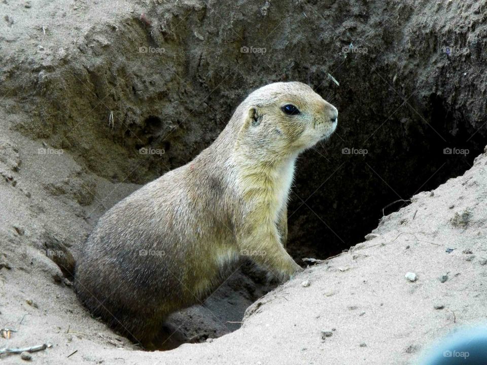 A day viewing nature