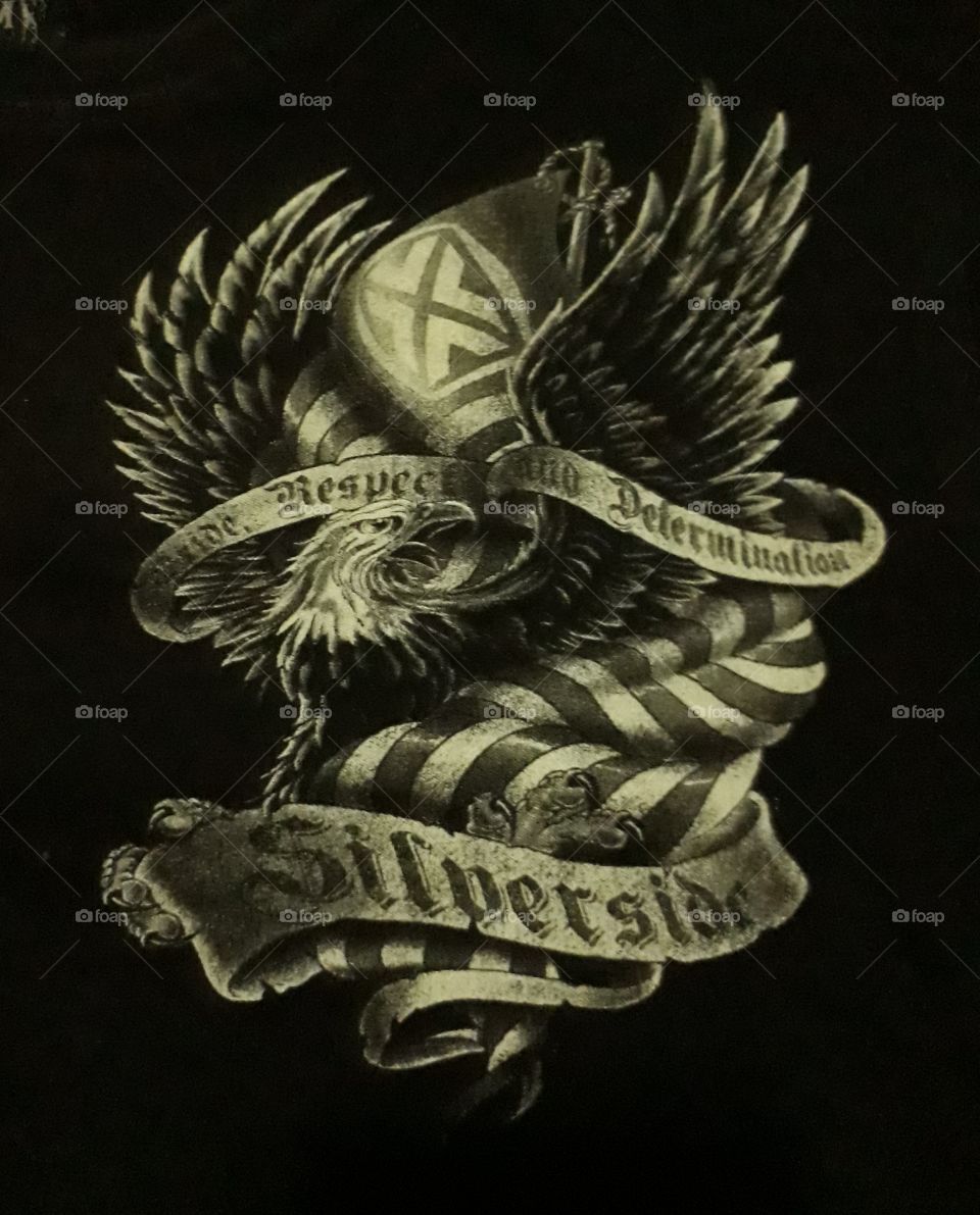 Silverside logo