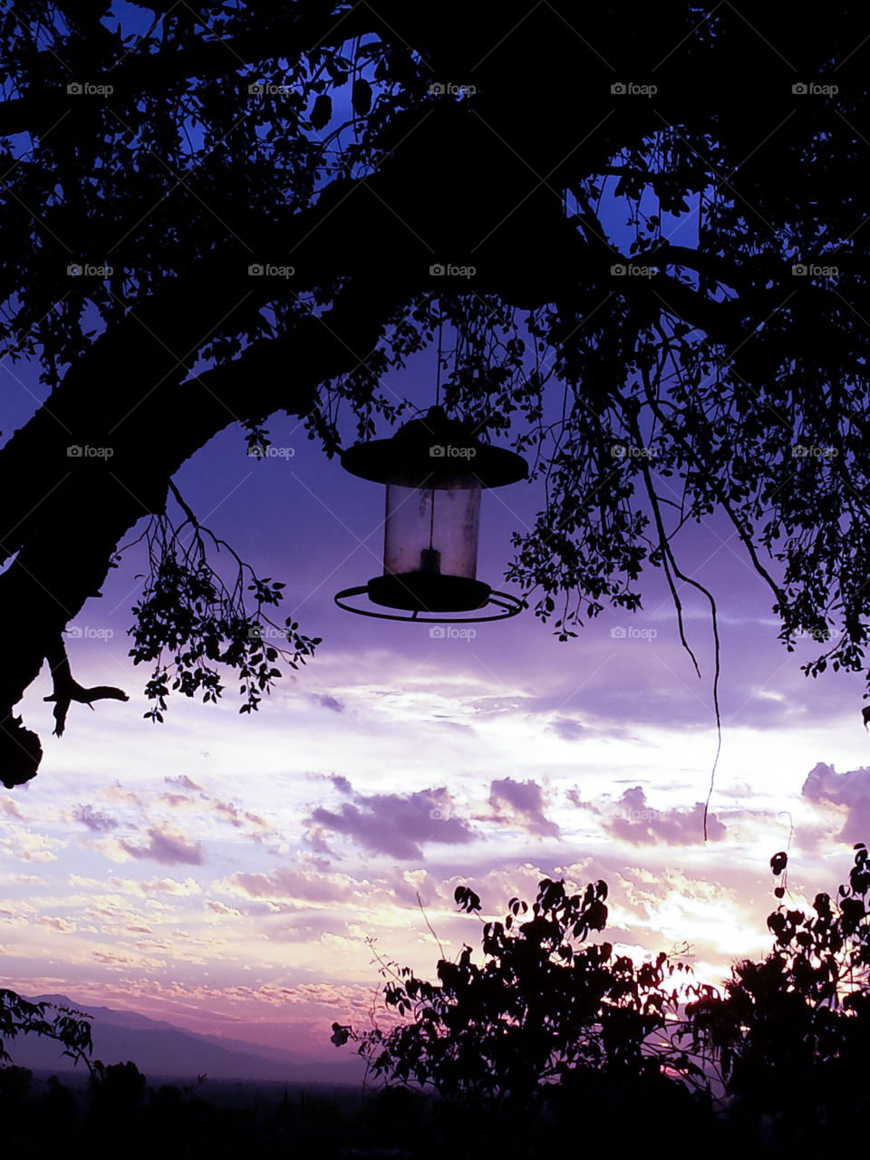 purple sunrise with bird feeder