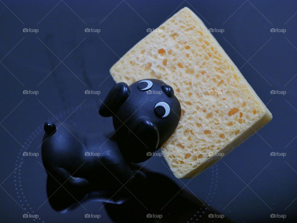 yellow sponge