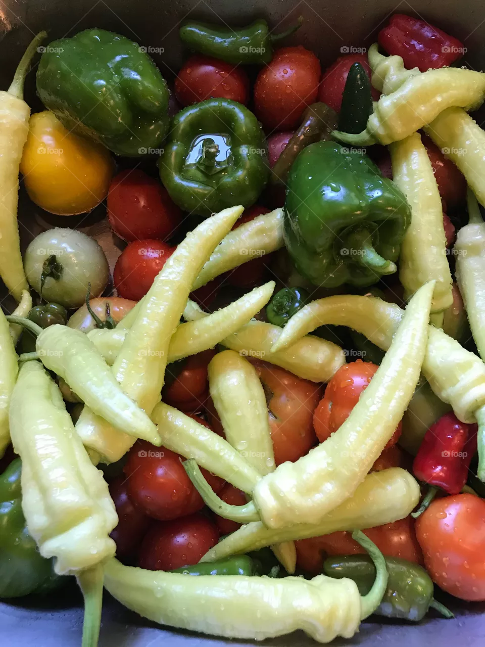 Bounty