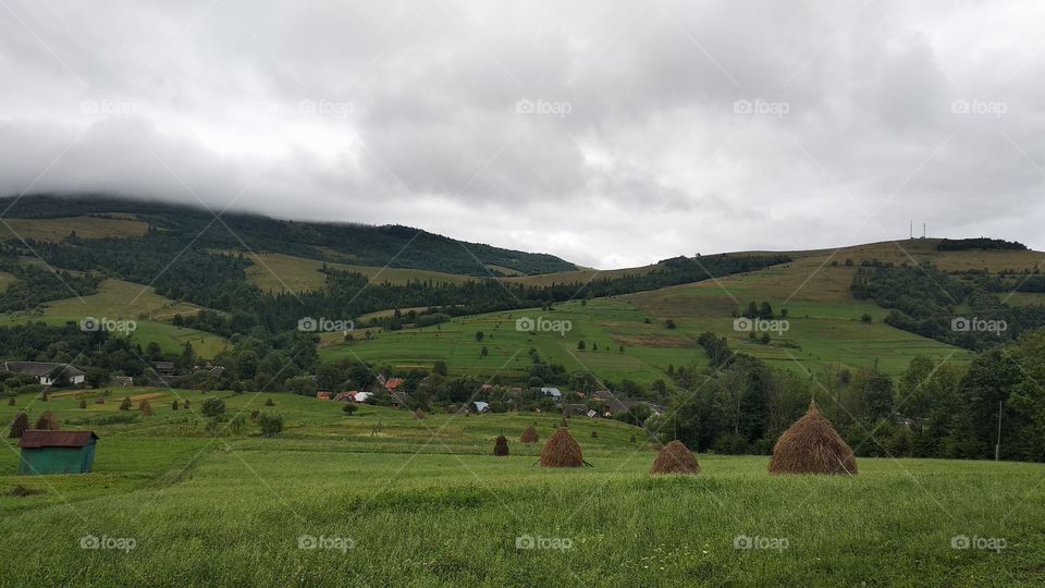 Carpathian mountains after rain, Ukraine