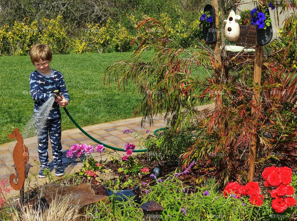 Watering the garden