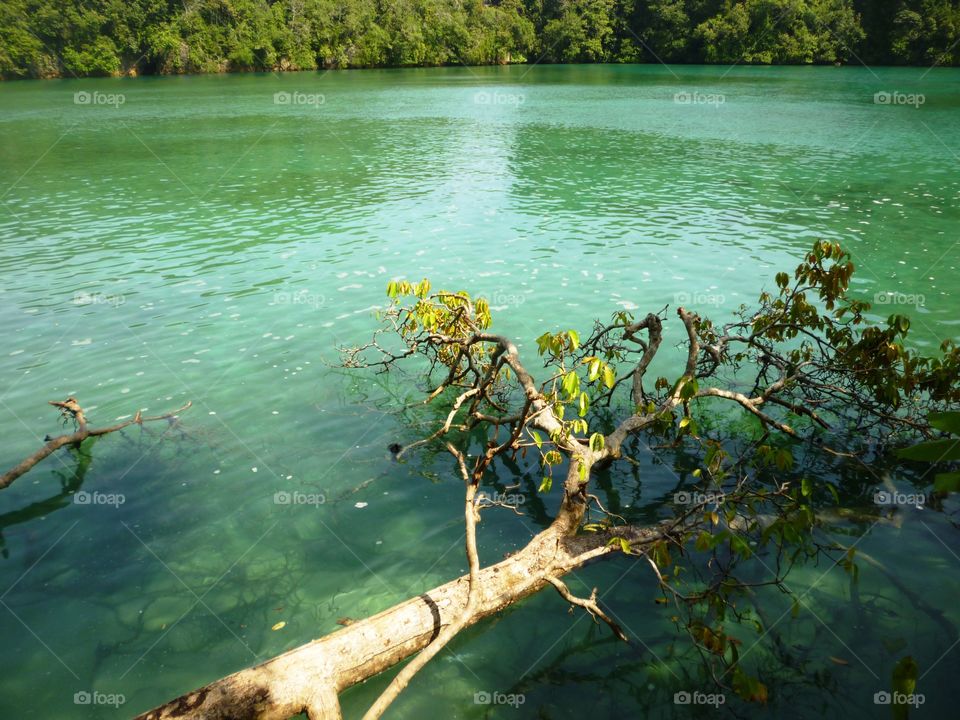 hidden lake (blue water)