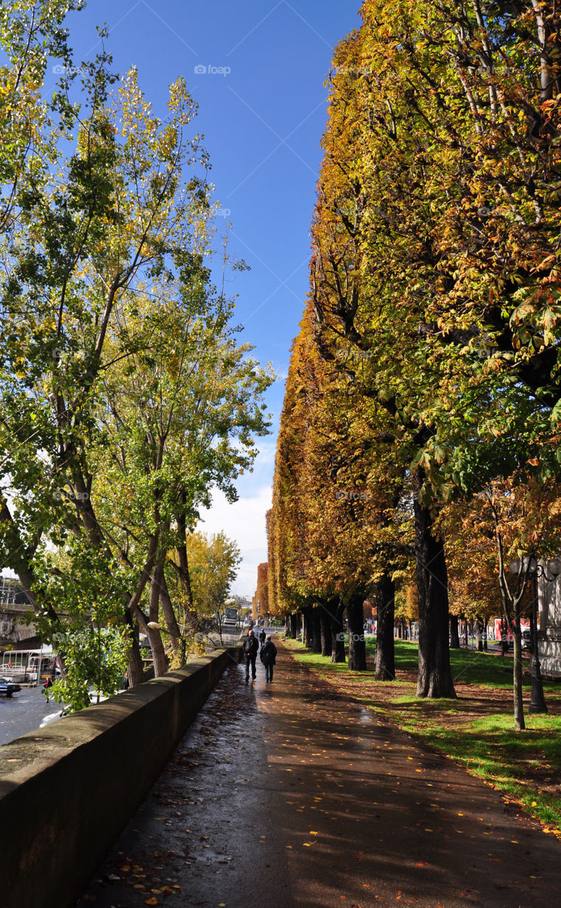 Autumn alley in Paris 