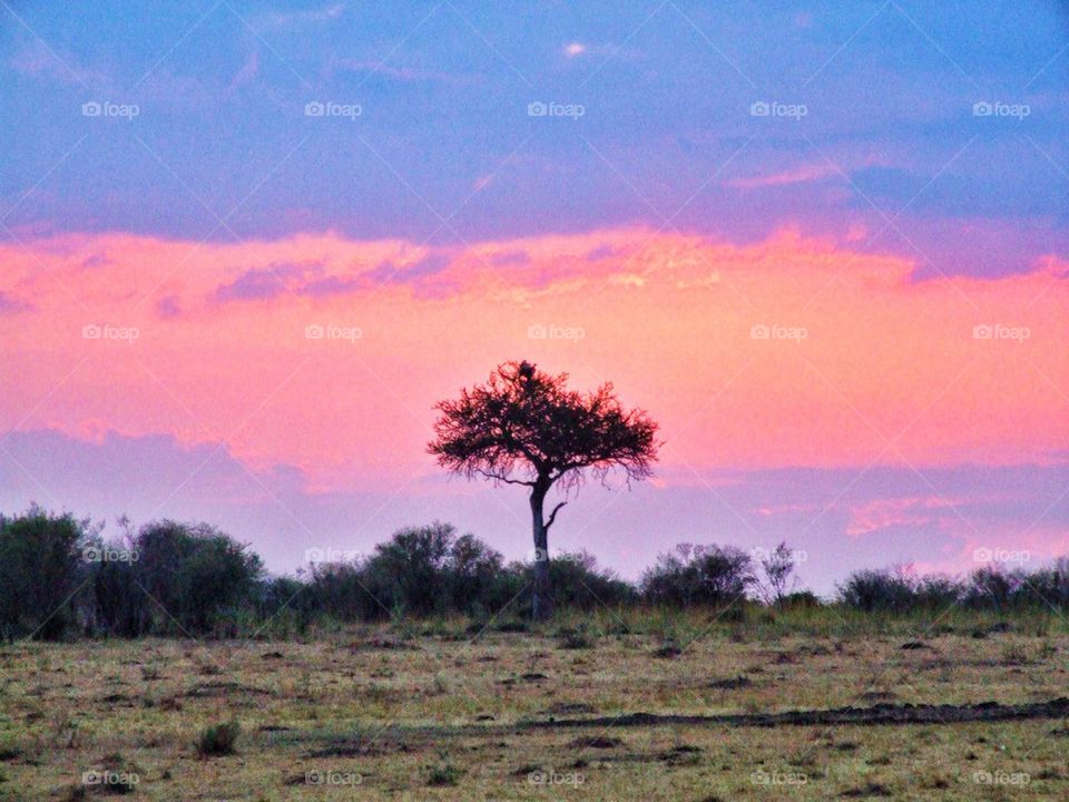 Honeymoon sunset