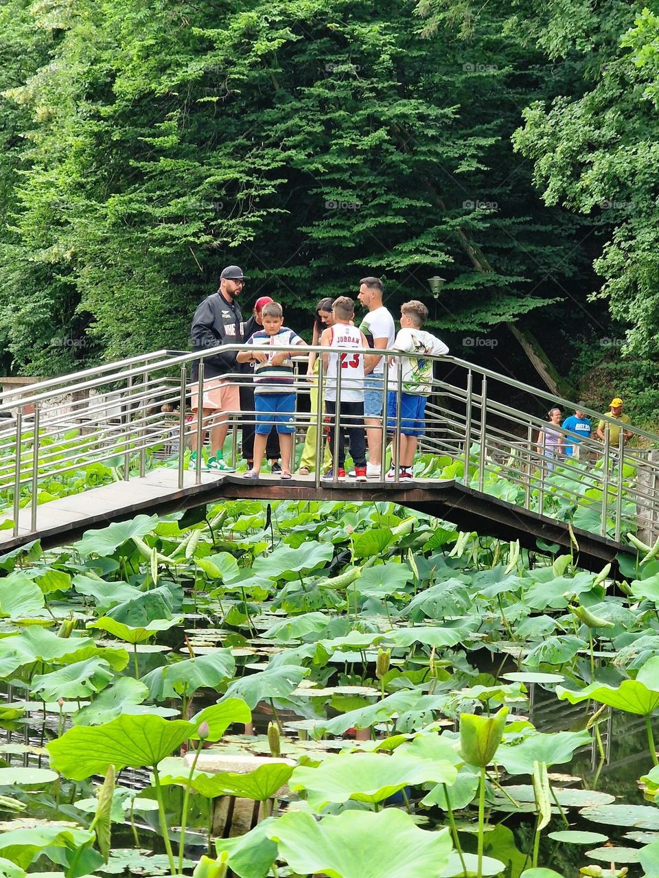 crowds of people on the bridge of the lake with water lilies