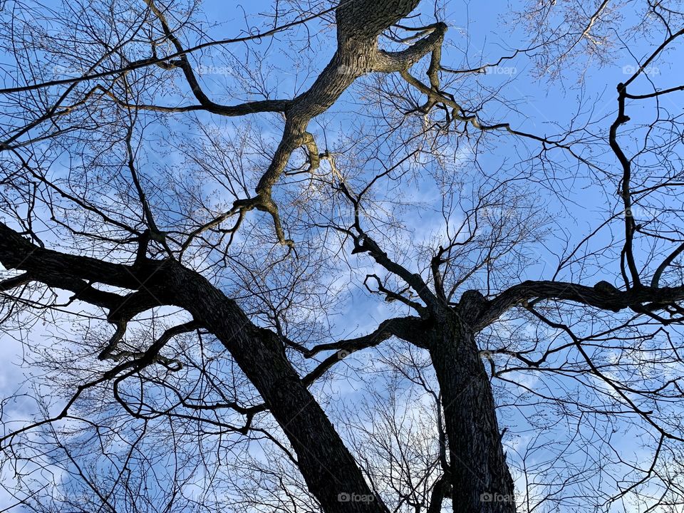 Nice day with the blue sky looking up. 