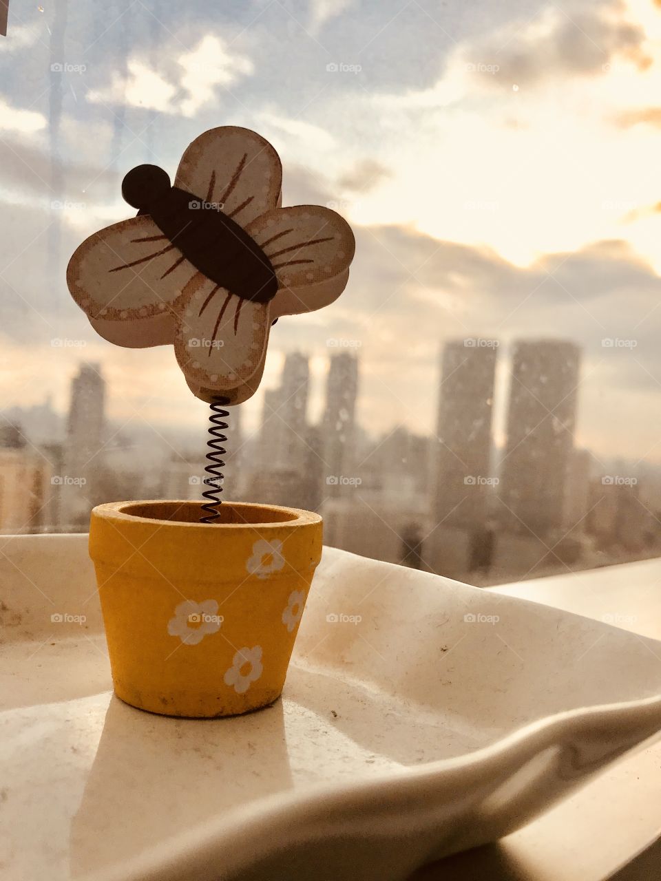 Cup of butterfly