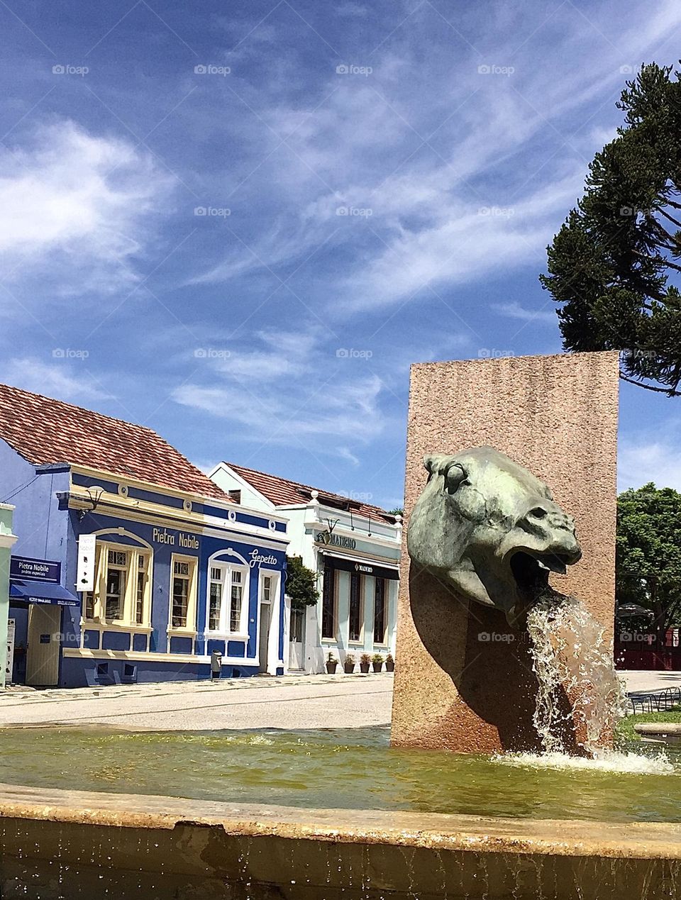 Drooling Horse/Curitiba